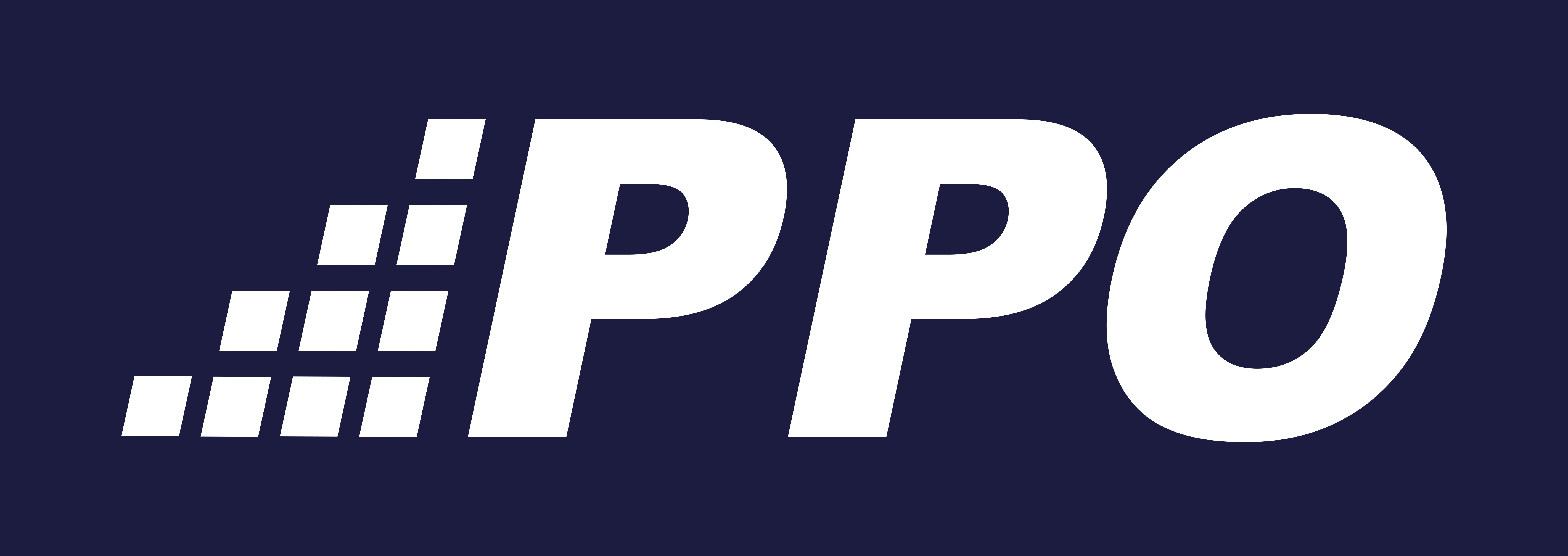 PPO logo RGB 150dpi blue