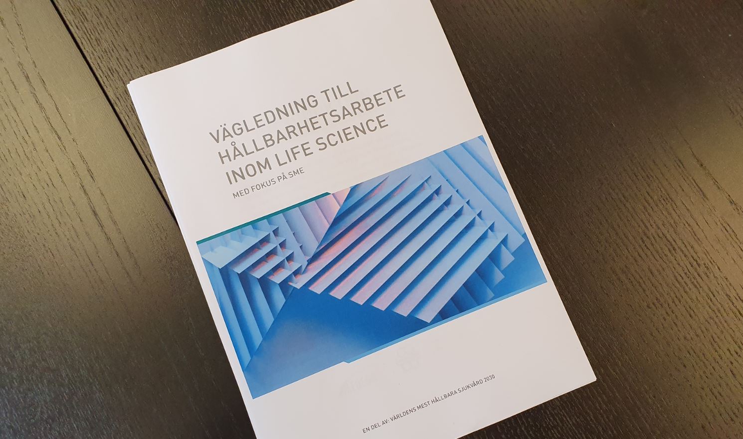 Guideline - sustainability for Life Science companies - focus SME