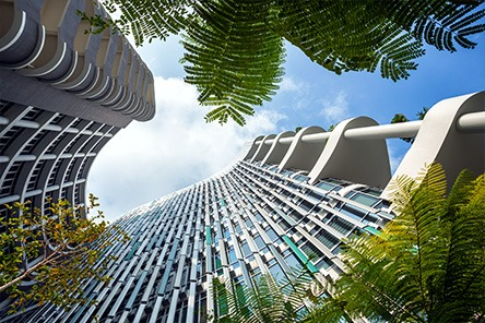 singapore 1